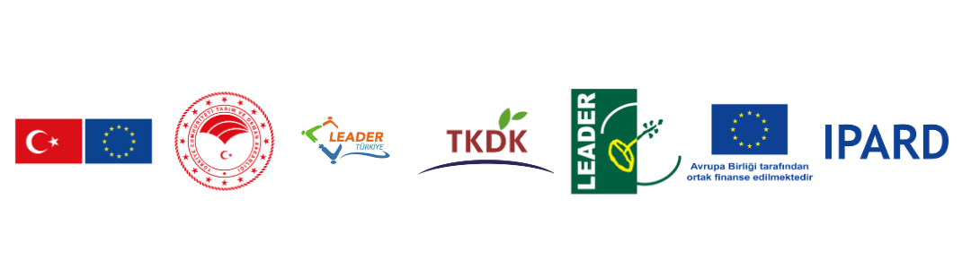 Avrupa Birliği ve Türkiye Bayrakları yan yana yer almaktadır.